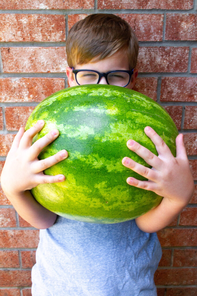 How To Pick The Best Watermelon by testing to see how heavy it is. 