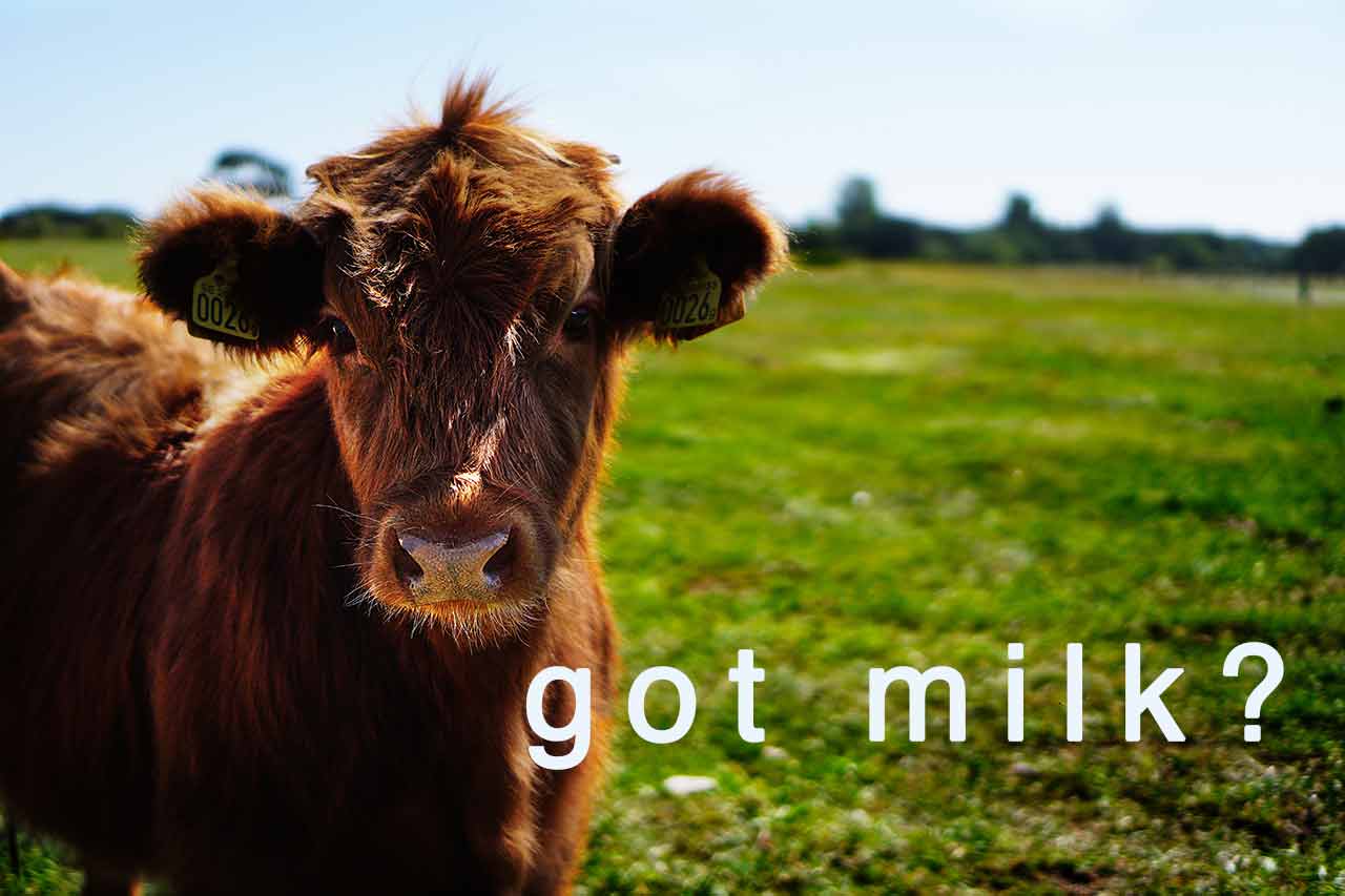Farm to Fridge: How to Choose Milk