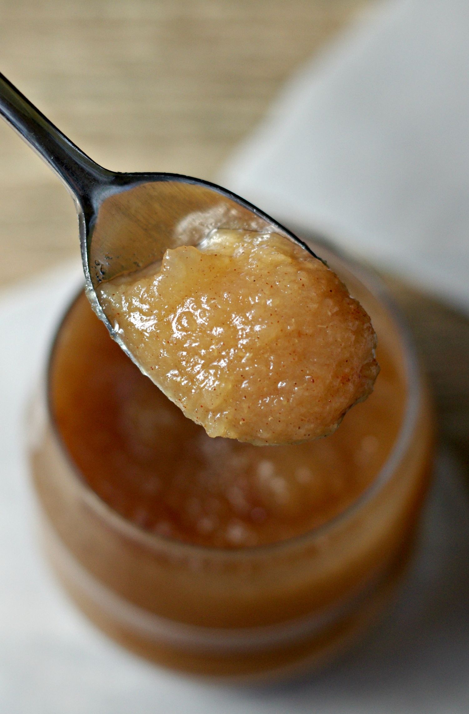 Avoid Fructose: How to Make Applesauce at Home
