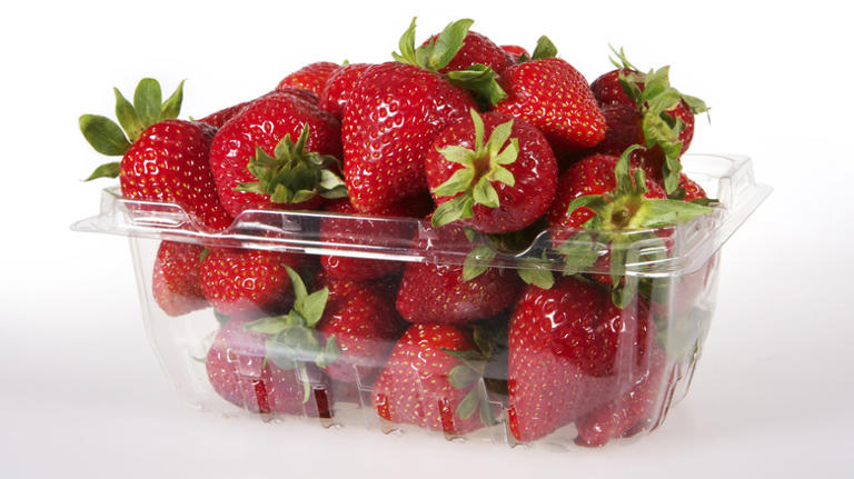 The Best Strawberries