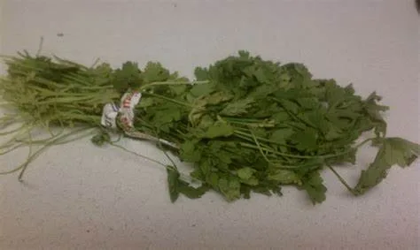 Refreshing Your Produce