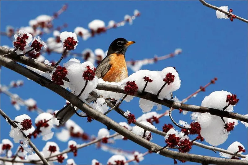 Wellness in Late Winter