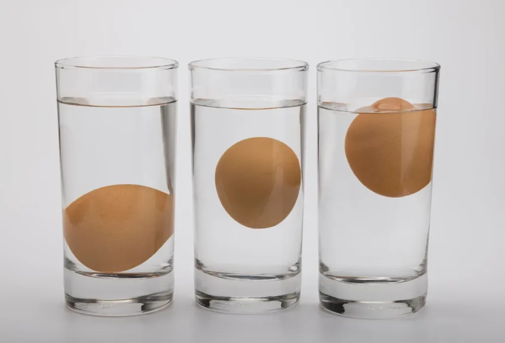 Eggs Stay Fresh